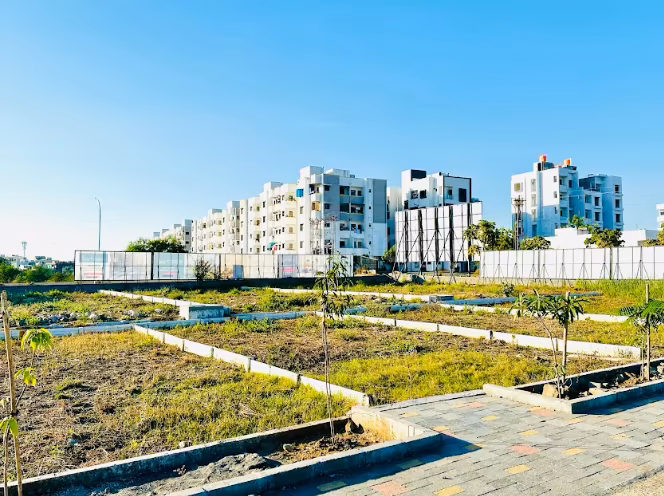 Residential Plot in Privara Vihar 8
